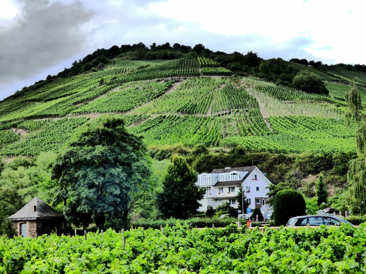 Relaxen Im Alten Winzerhaus Eg Apartment